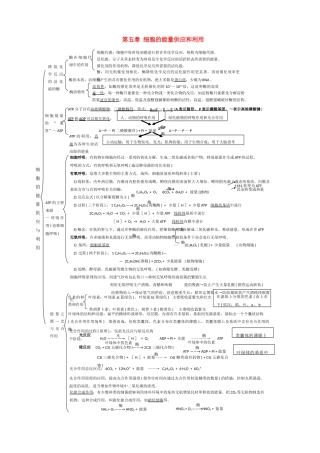 高一生物 第5章《细胞的能量供应和利用》素材（1）（新人教版必修1）