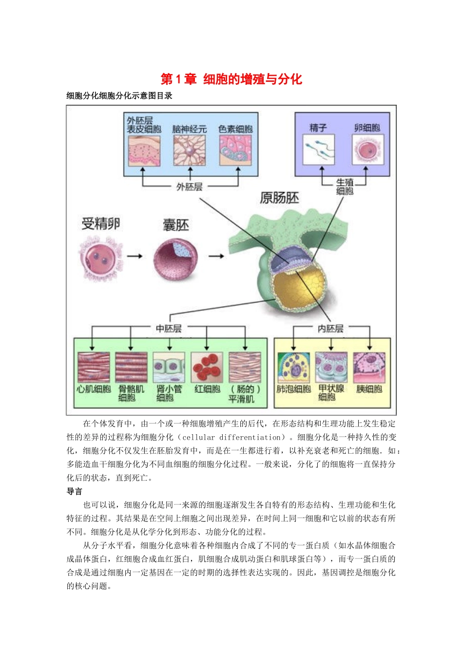 高一生物：4.1《细胞的增殖与分化》素材（1）中图版_第1页