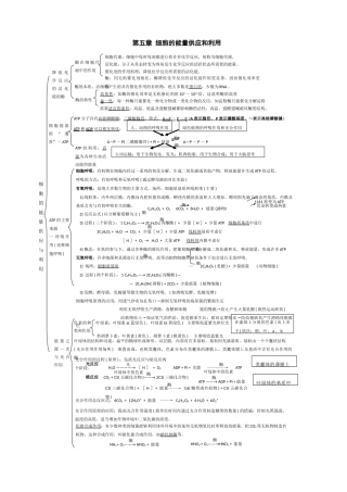 高一生物：第5章《细胞的能量供应和利用》素材1）新人教版