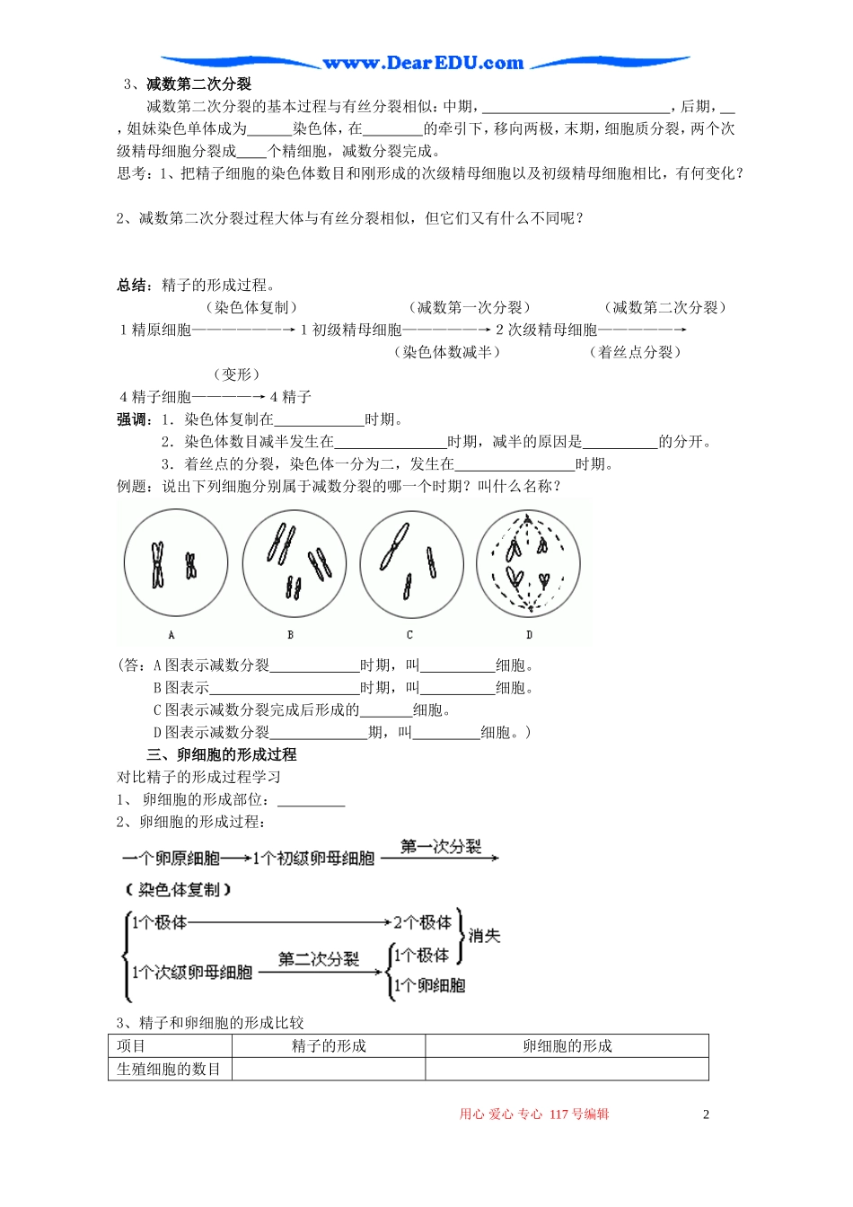 高一生物第二章 第一节减数分裂和受精作用导学案 新课标 人教版 必修2_第2页