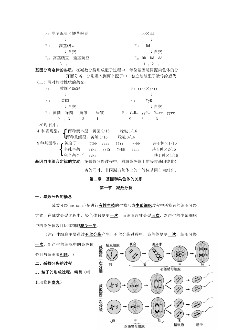 高一生物下学期默背材料-人教版高一全册生物素材_第2页