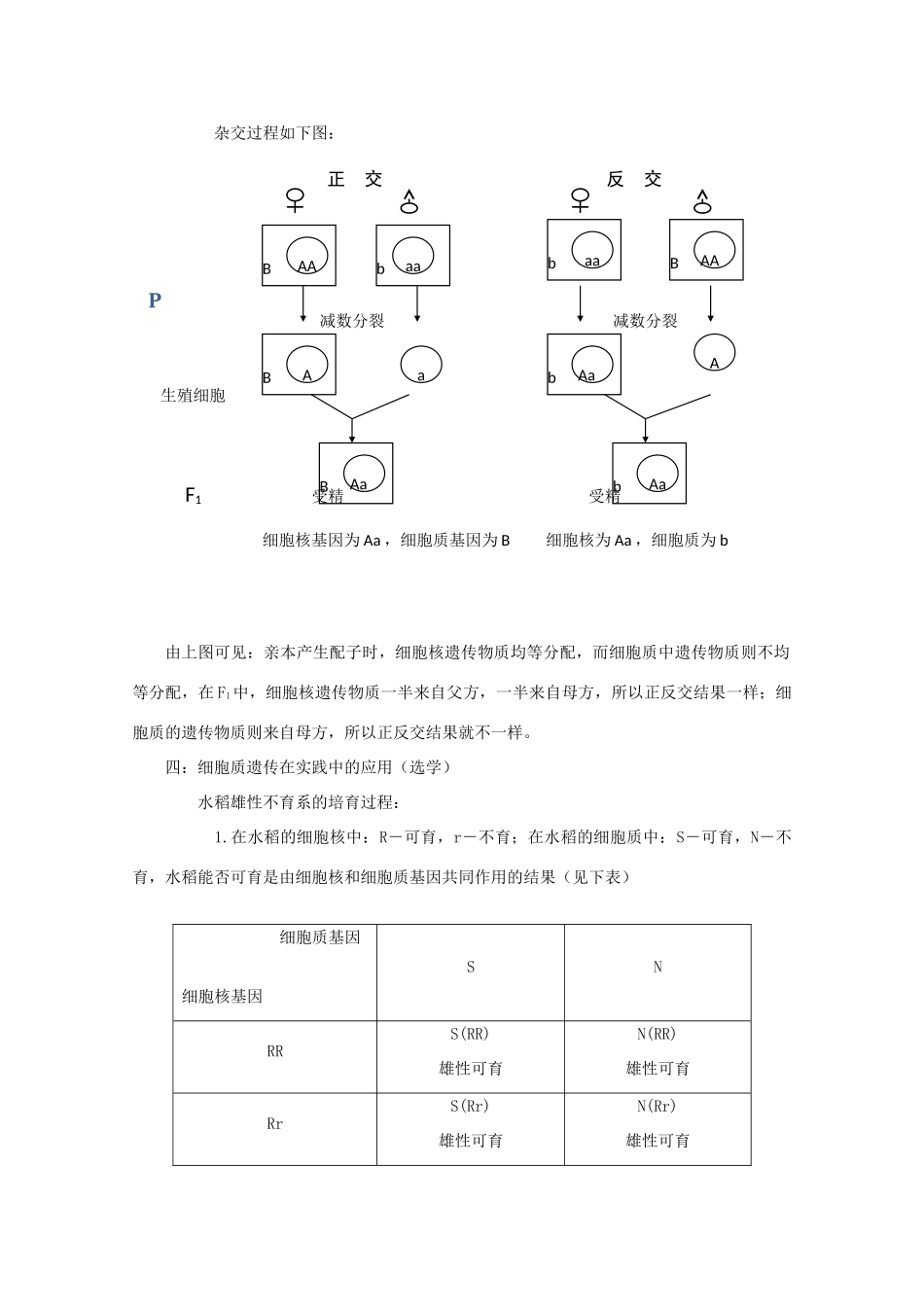 高三生物 第6讲_第2页