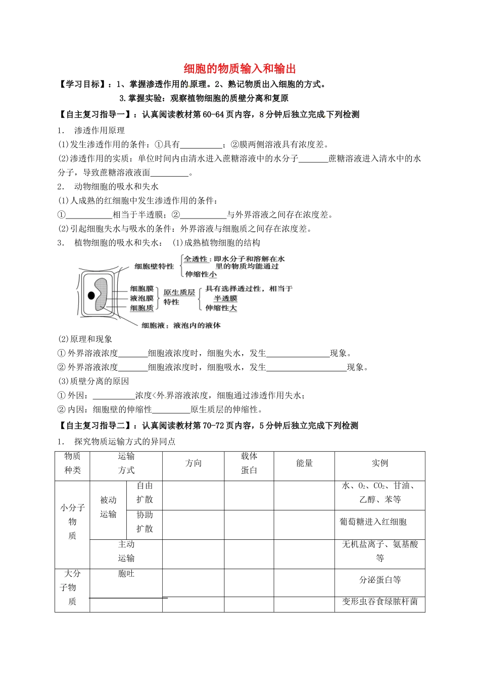 高三生物 细胞的物质输入和输出复习学案-人教版高三全册生物学案_第1页