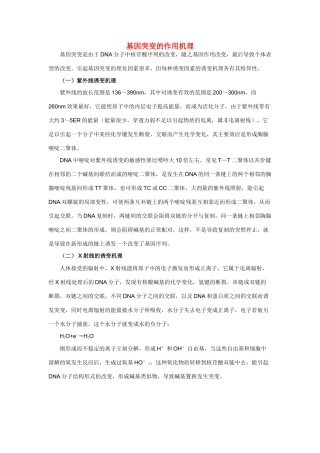 高三生物参考资料：基因突变的作用机理素材