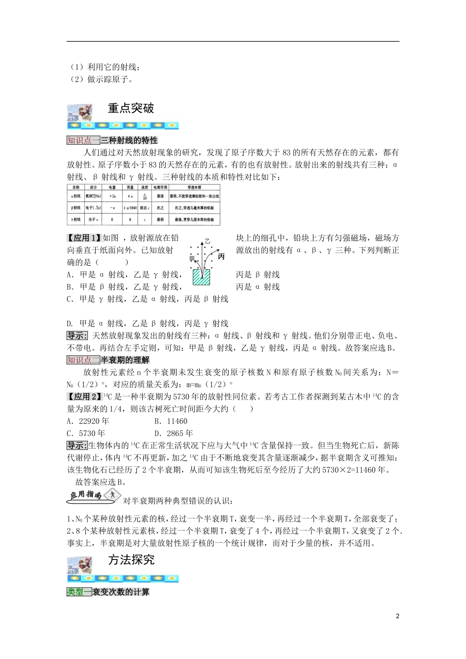 高三物理第一轮复习 19-2天然放射现象 衰变学案 新人教版_第2页