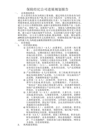 保险经纪公司发展规划报告