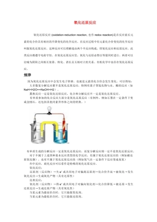 高中化学 《氧化还原反应》文字素材2 新人教版必修1