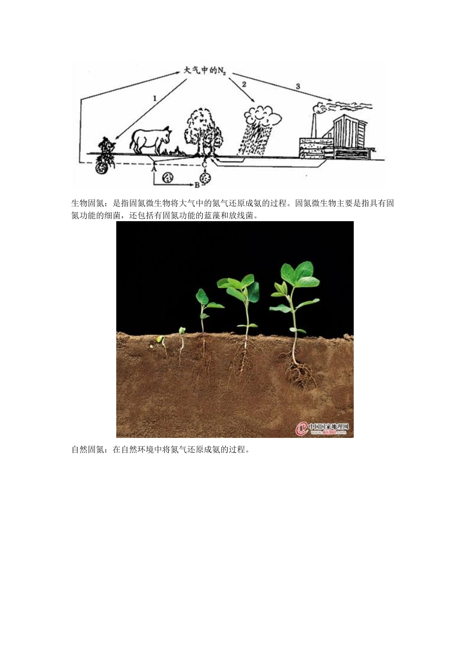 高中化学 专题4第二单元第二课时 氮肥的生产和使用同步素材（5） 苏教版必修1_第2页