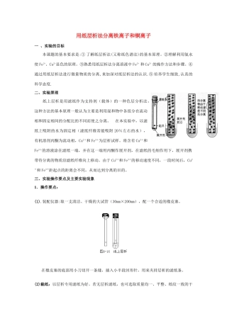 高中化学《用纸层析法分离铁离子和铜离子》文字素材3 苏教版选修6