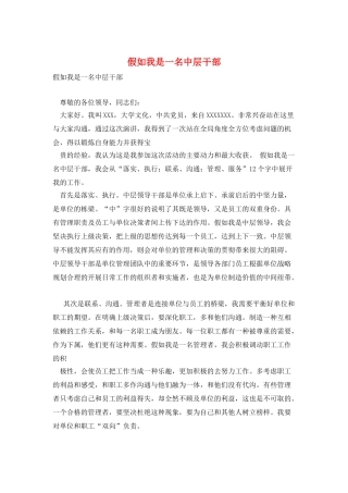 假如我是一名中层干部