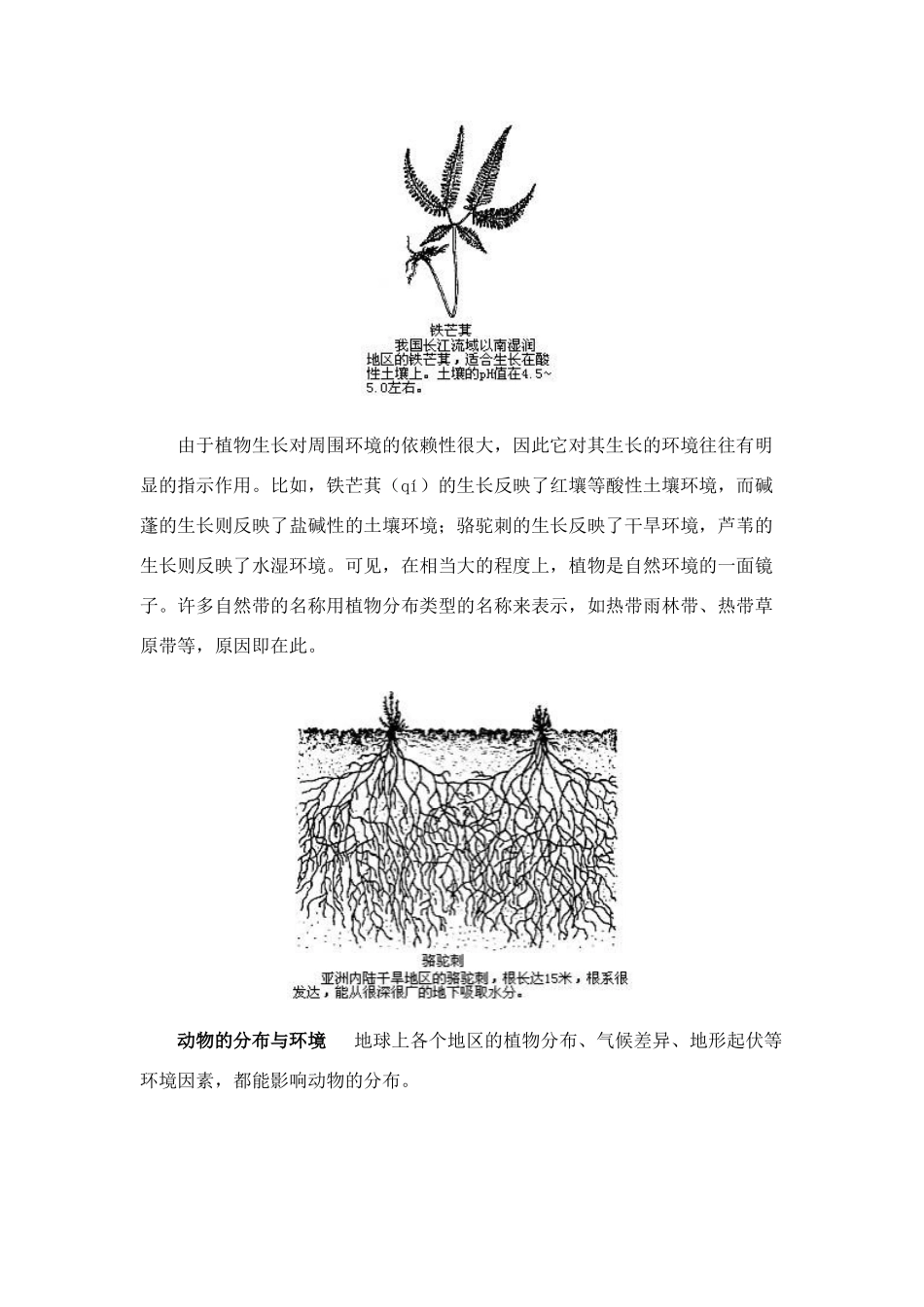 高中地理 第五章地球上的生物、土壤和自然带素材_第3页