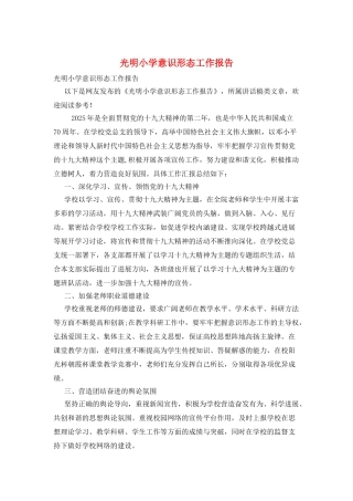 光明小学意识形态工作报告