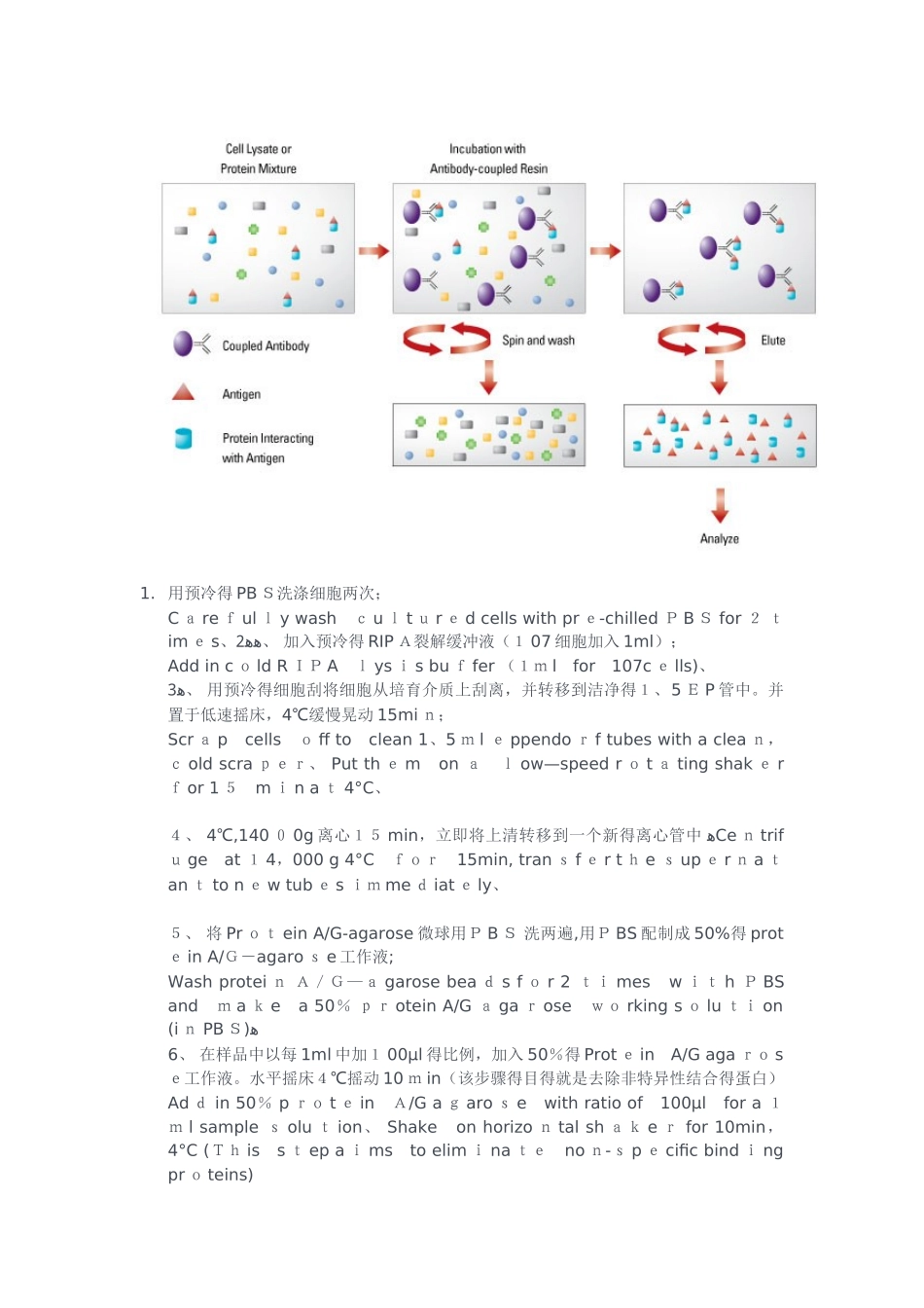 免疫共沉淀实验原理及方法_第2页