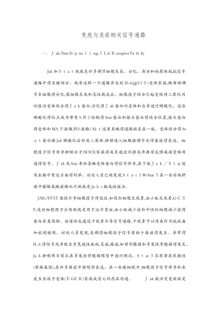 免疫和炎症相关信号通路