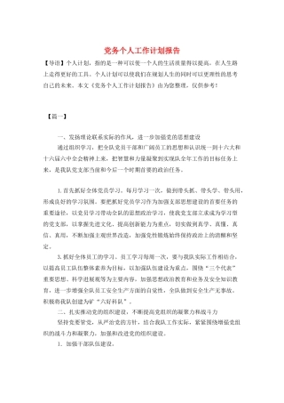党务个人工作计划报告