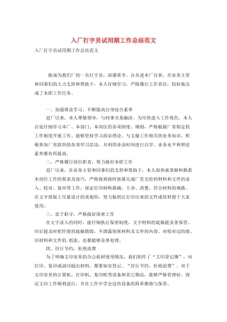 入厂打字员试用期工作总结范文