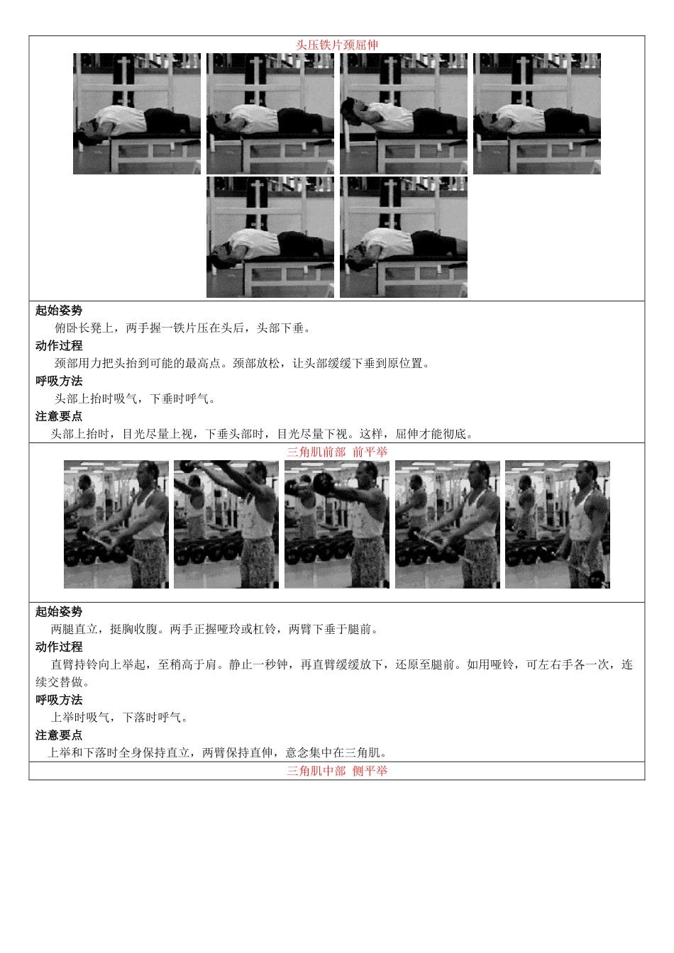 全部哑铃训练动作指南_第2页
