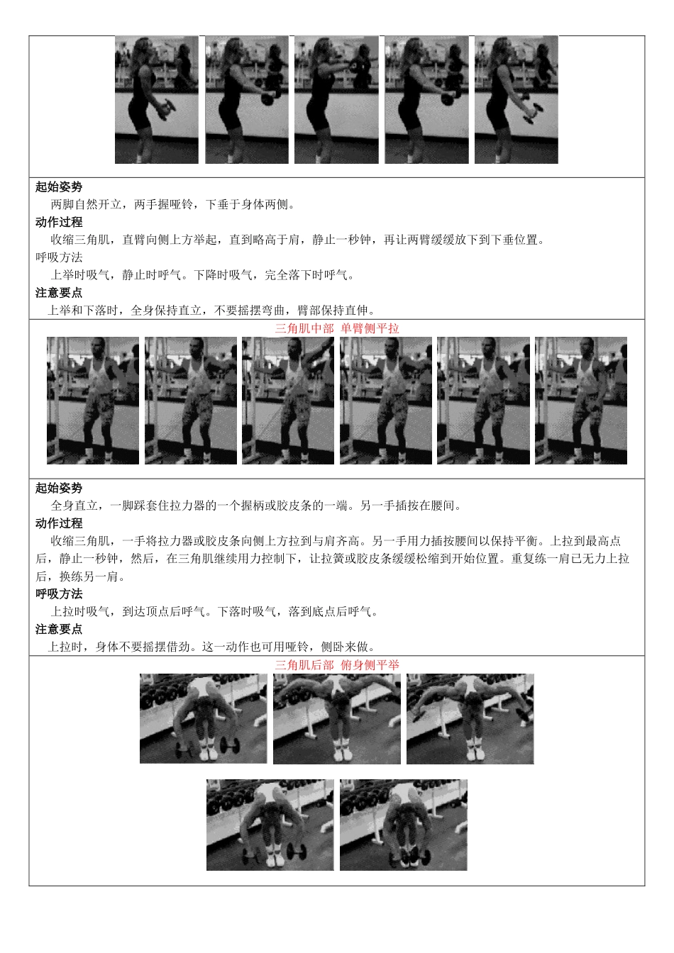 全部哑铃训练动作指南_第3页