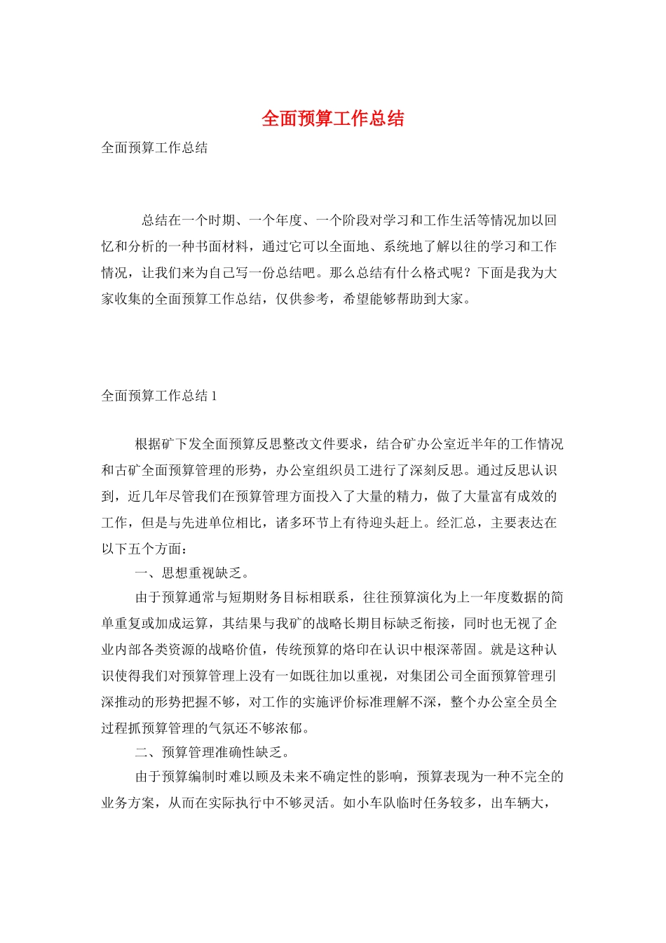 全面预算工作总结_第1页