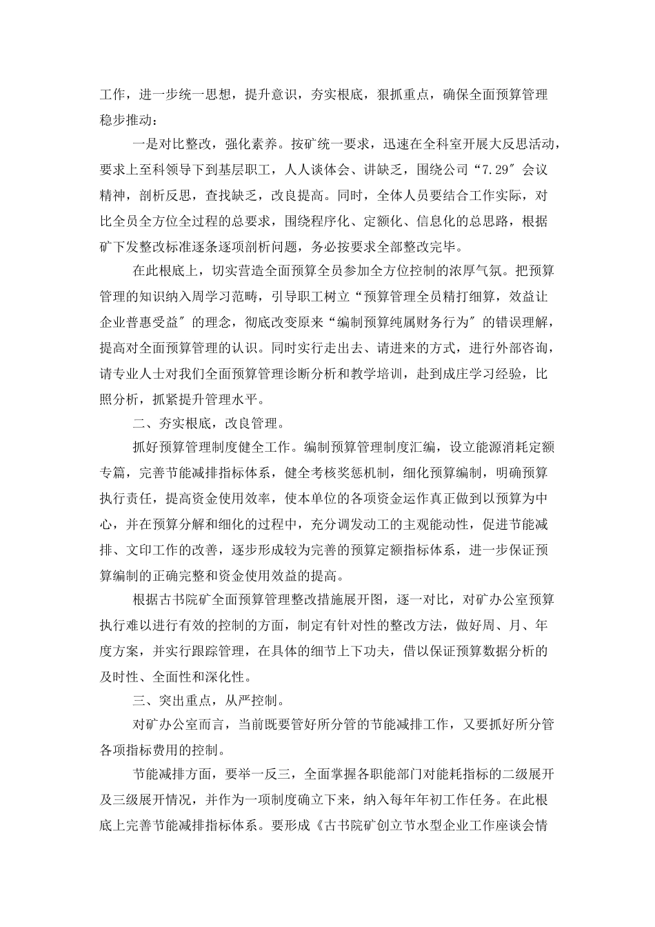 全面预算工作总结_第3页