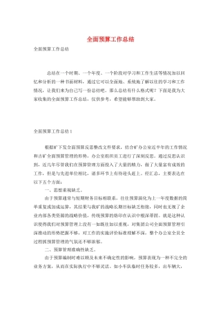 全面预算工作总结