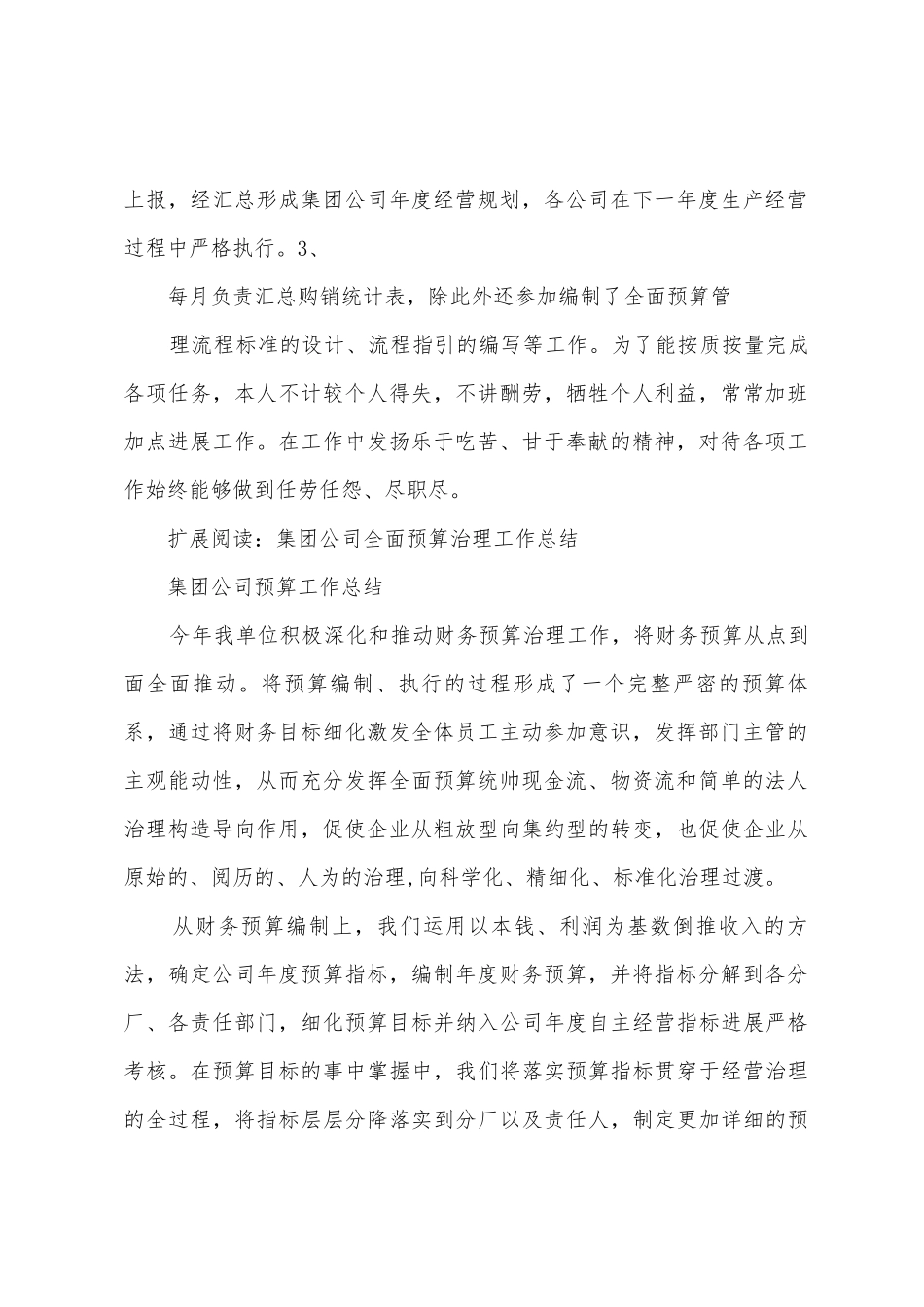 全面预算管理工作总结_第2页