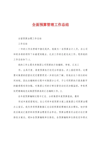 全面预算管理工作总结