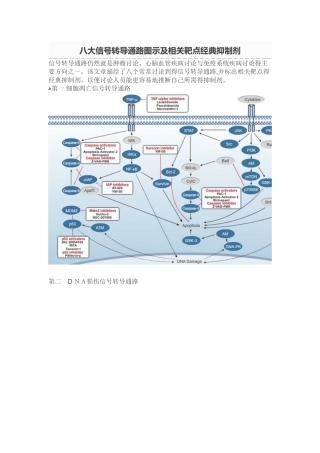 八大信号转导通路