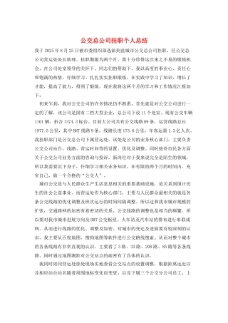 公交总公司挂职个人总结