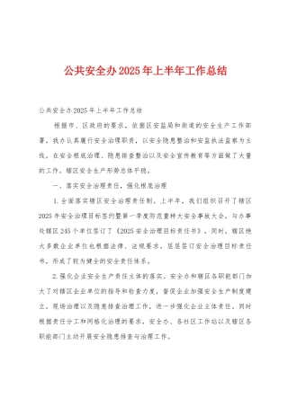 公共安全办2025年上半年工作总结