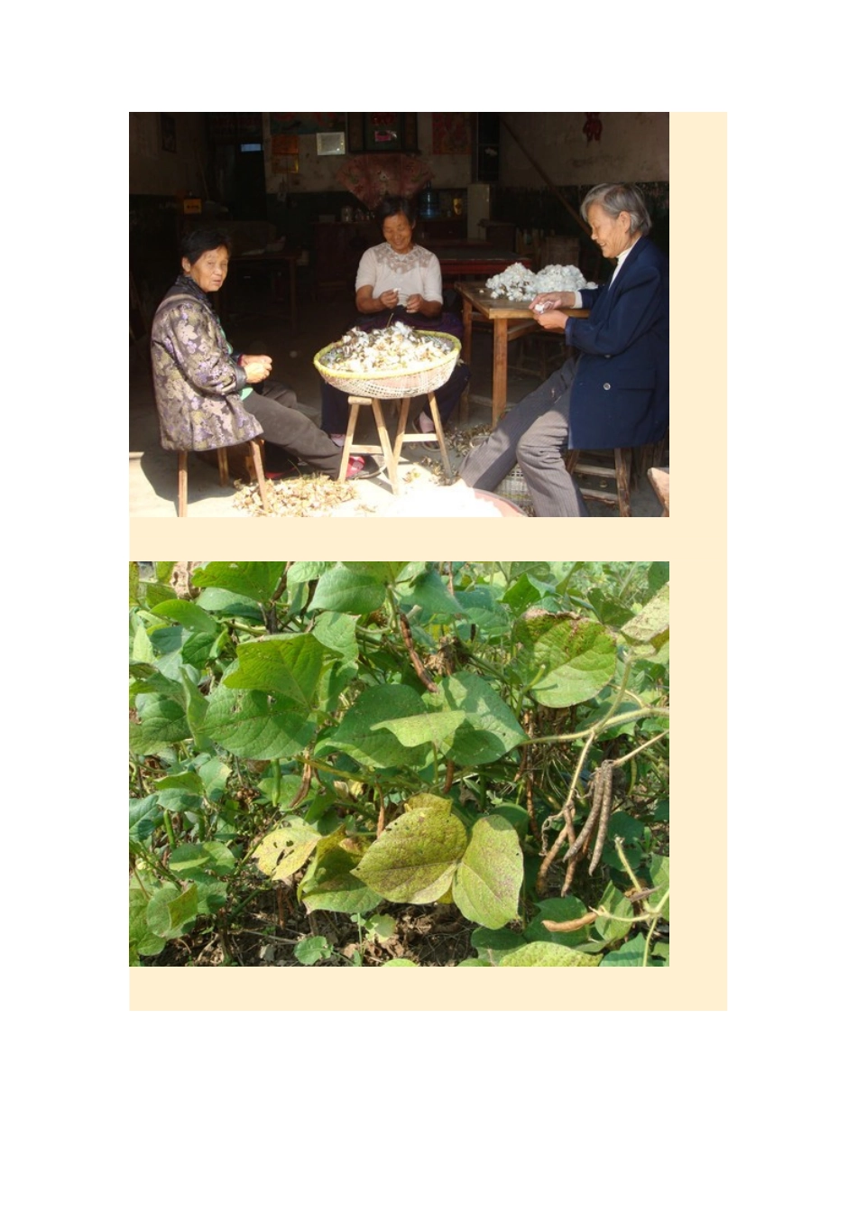 高中地理24节气摄影素材 18霜降-人教版高中全册地理素材_第3页