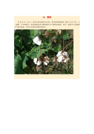 高中地理24节气摄影素材 18霜降-人教版高中全册地理素材