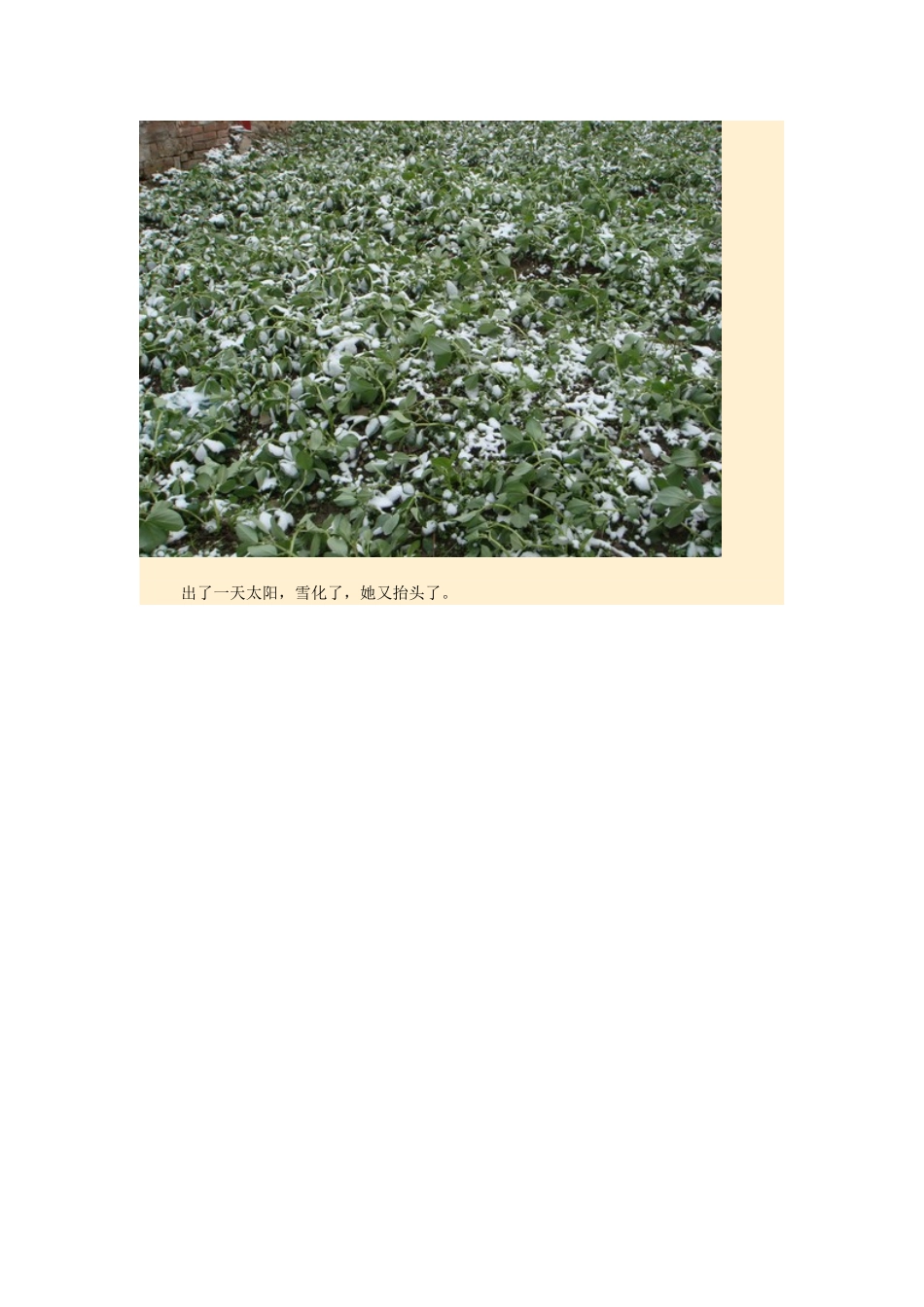 高中地理24节气摄影素材 22冬至-人教版高中全册地理素材_第2页