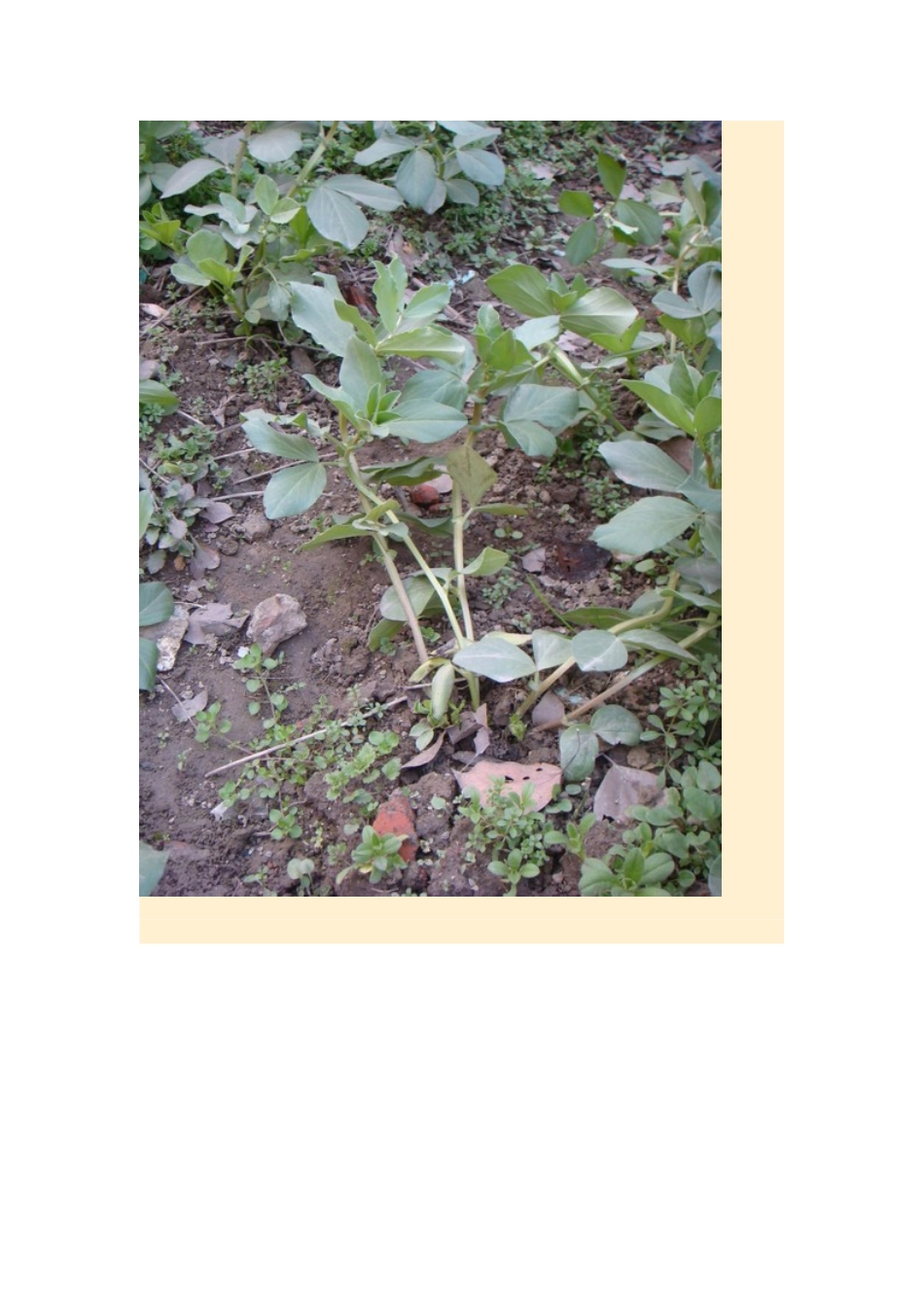 高中地理24节气摄影素材 22冬至-人教版高中全册地理素材_第3页