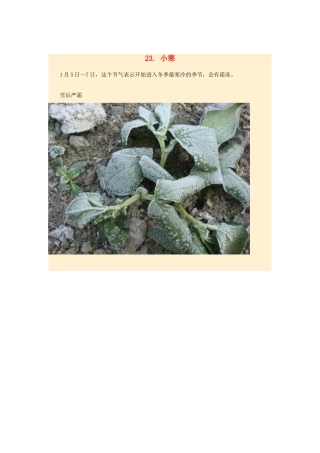 高中地理24节气摄影素材 23小寒-人教版高中全册地理素材