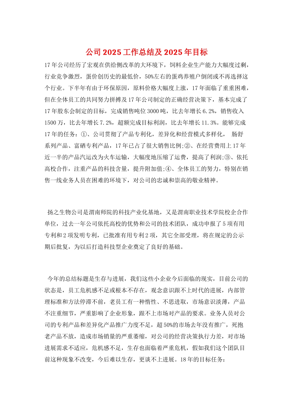 公司2025工作总结及2025年目标_第1页