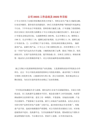 公司2025工作总结及2025年目标