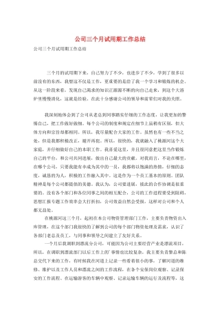 公司三个月试用期工作总结
