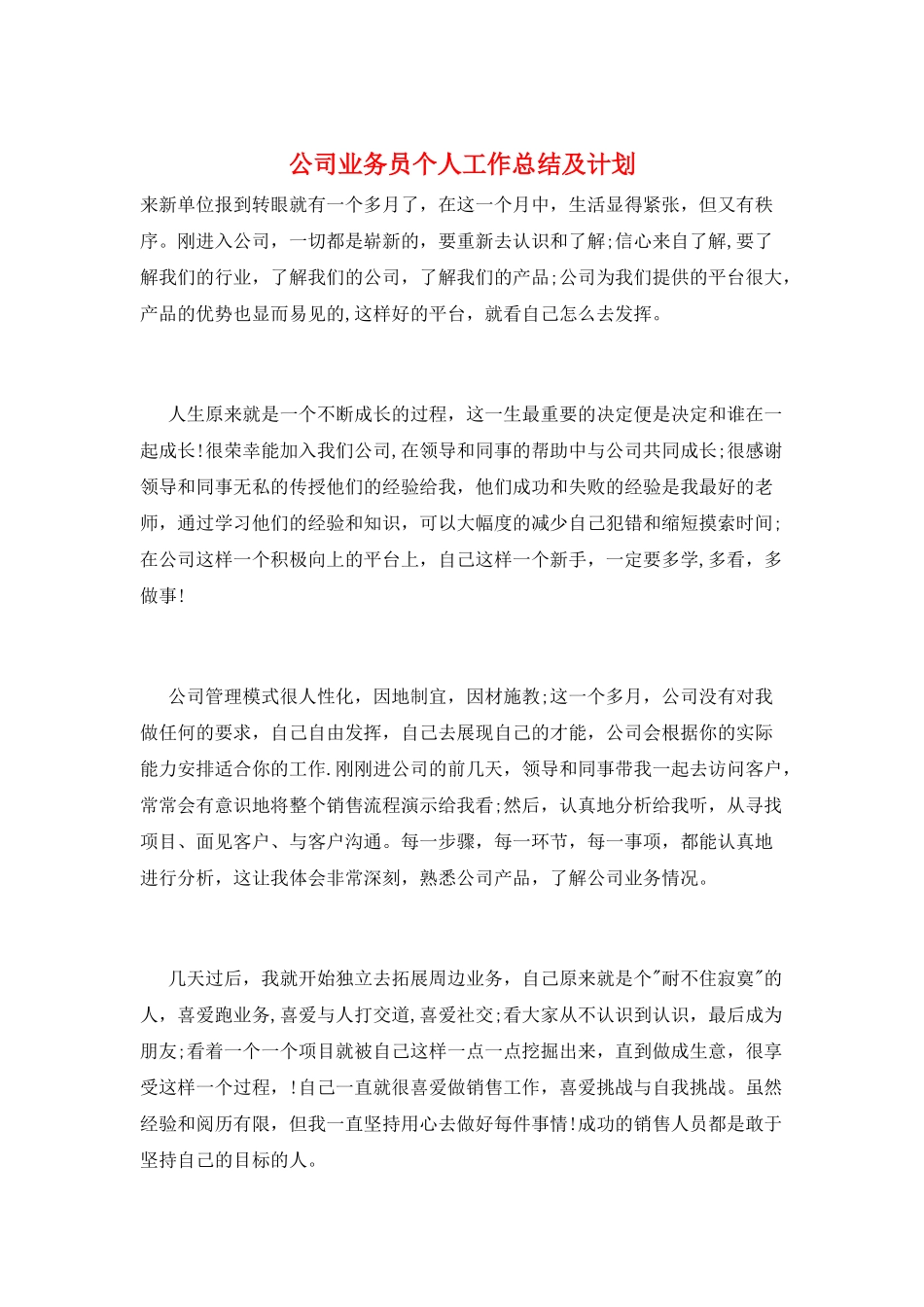 公司业务员个人工作总结及计划_第1页