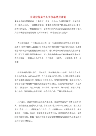公司业务员个人工作总结及计划