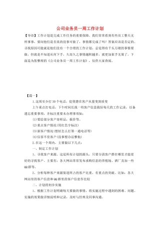 公司业务员一周工作计划