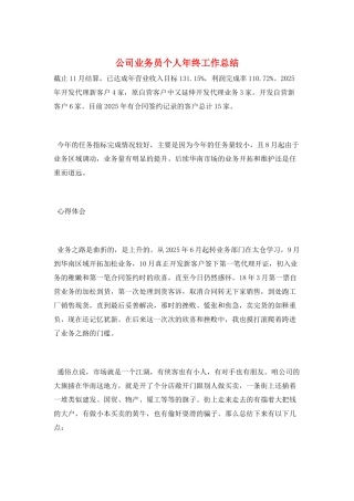 公司业务员个人年终工作总结