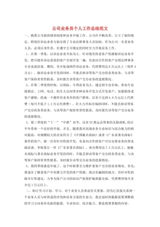 公司业务员个人工作总结范文