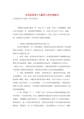 公司业务员个人新年工作计划范文