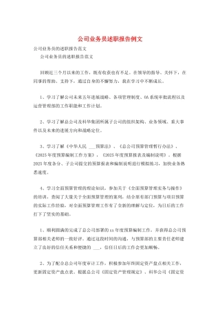 公司业务员述职报告例文