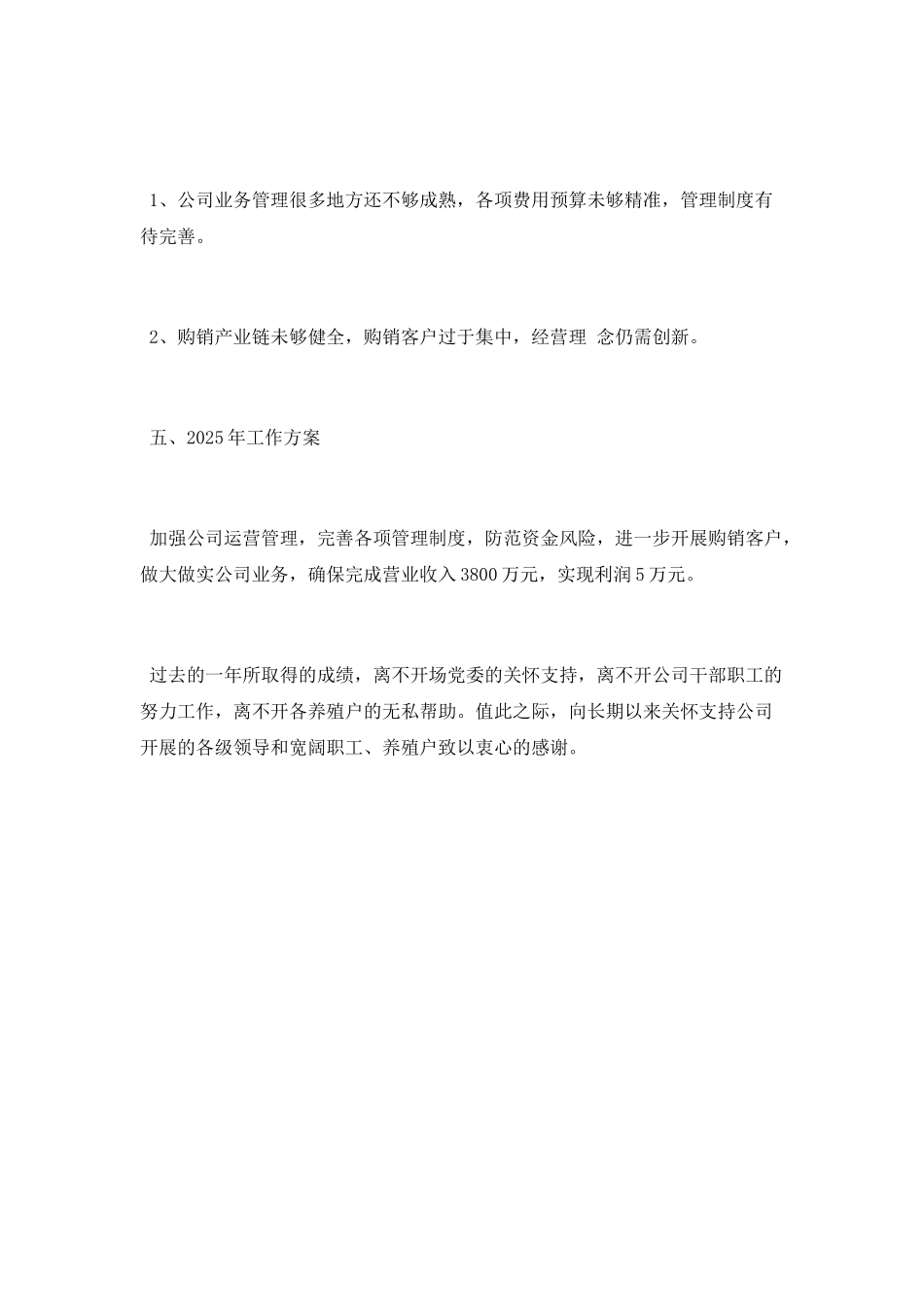 公司个人2025年度工作总结_第3页