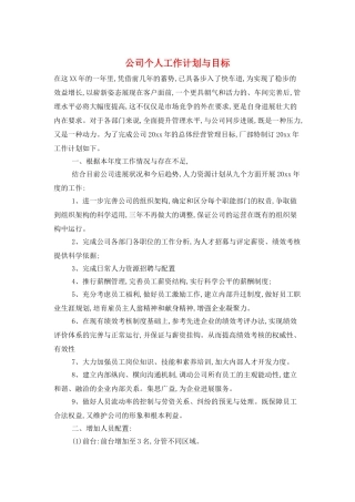 公司个人工作计划与目标