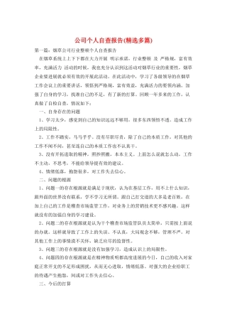 公司个人自查报告