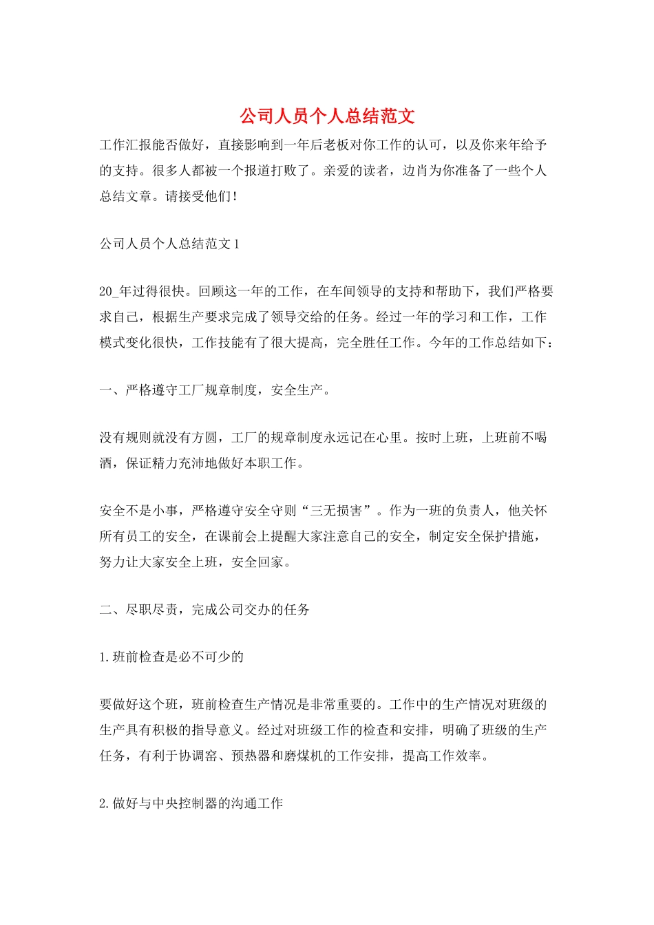 公司人员个人总结范文_第1页