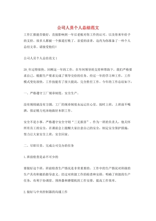 公司人员个人总结范文